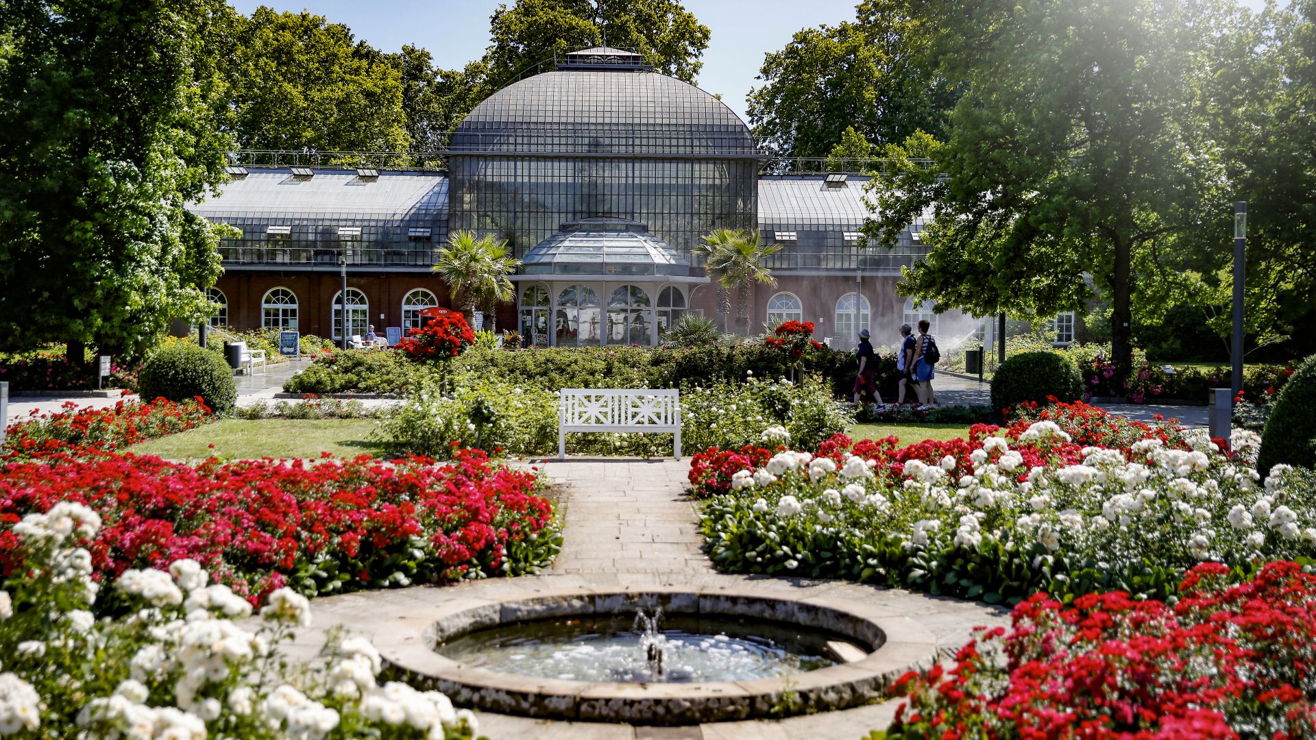 Botanischer Garten Frankfurt – Palmengarten