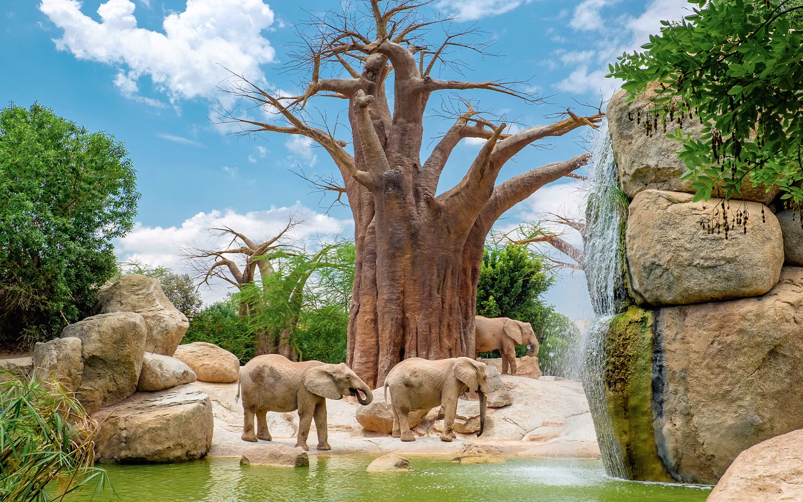 BIOPARC